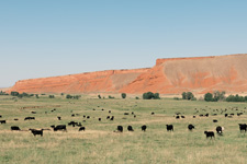 USA-Wyoming-Paintrock Guest Ranch